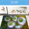 Bathroom Absorbent Soft Pad Quick-Drying Toilet Non-Slip Floor Mat Kitchen Toilet Dirt-Resistant Foot Pad Door Mat Manufacturer Wholesale