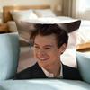 Harry Styles Folk Pop Pillow Case Square Double-Sided Sofa Cushion Cover Bedroom Bedside Pillow Gift
