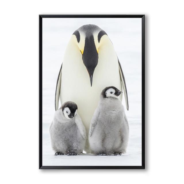 

Современные скандинавские пингвины, семейное искусство, постеры на холсте и печатные картины для украшения гостиной, спальни и детской комнаты 40x60cm No Framed
