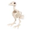 1pc Realistic Dog/Frog/Bird Skeleton Decoration - Lifelike Bone Structure with Expressive Eyes, Home Decor, Halloween Home Decor