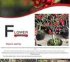 Chojukan Japanese Weeping Crabapple Bonsai Sapling for Courtyard Planting