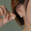 Small Crown Accessories Earrings