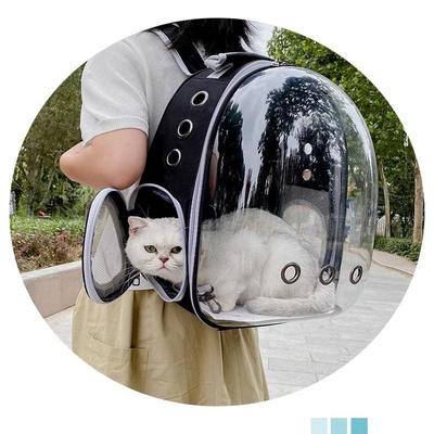 Sac à bandoulière pour animal de compagnie, 1 pièce, sac à bandoulière pour chat et chien, sac fourre-tout respirant et portable, pliable, transparent, grande capacité, fournitures pour animaux de compagnie