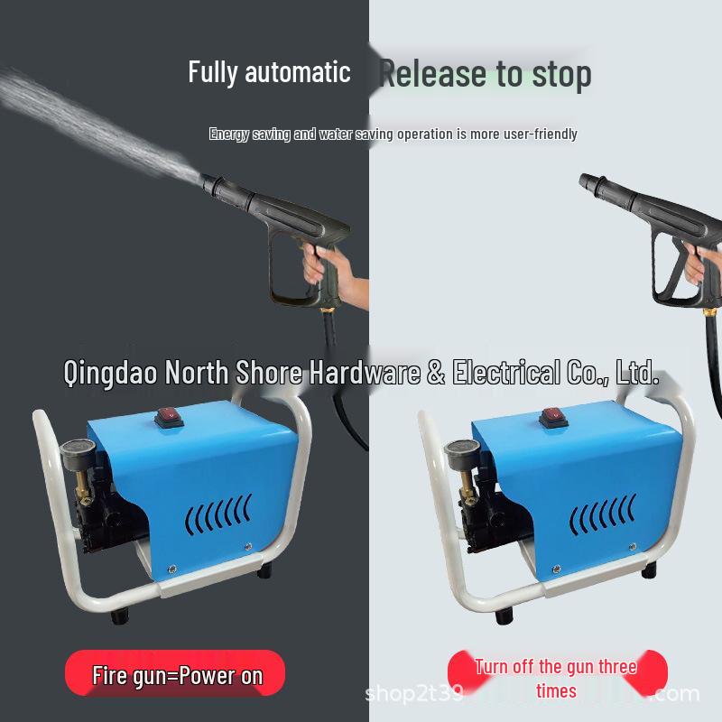 220V High-Power Car Wash Set: Pressure Pump, Brush, and Water Gun for Powerful Cleaning