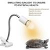 75w Reptile Heat Lamp Tortoise Heat Lamp Basking Lamp Heater Adjustable With Clip For Reptiles Lizard Turtle Aquarium Bulb Included Black Black Eu 75w