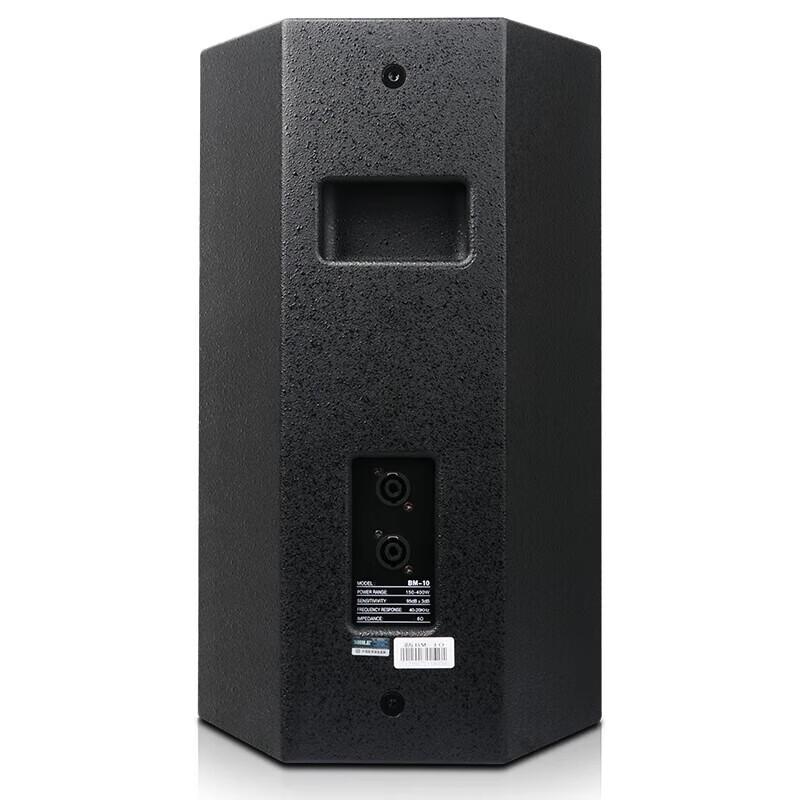 SHILE BM-10 10-inch Professional Stage Speaker (CN Version)