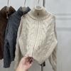 Stand-up collar zipper sweater cardigan women's autumn and winter new loose soft waxy twist Maillard short knitted jacket