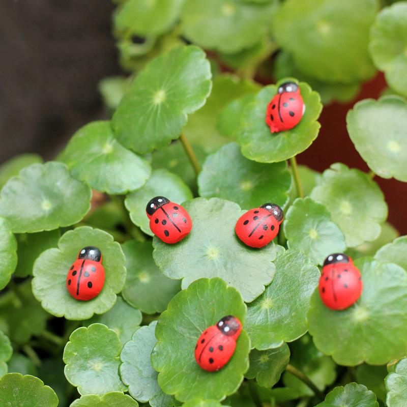 Handmade Cartoon Ladybug Hair Clips & Wooden Beetle Refrigerator Magnets