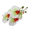 Korean Style Orchid Flower Hairpin Butterfly Orchid Bohemia Duckbill Clip  Wedding Decoration