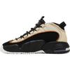 Nike Air Max Penny 1 "Rattan" Brązowy 1DV7442-200