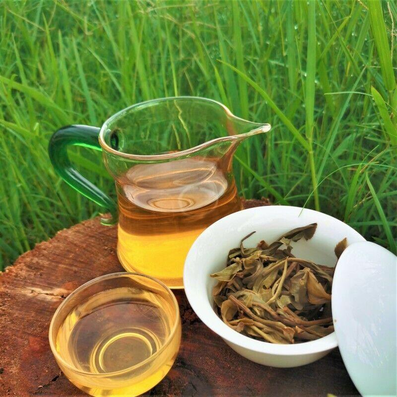 357g Pu-Erh Spring Tea Cake Zhonghong Yin Bow Chá da Árvore Antiga Yiwuwanggong