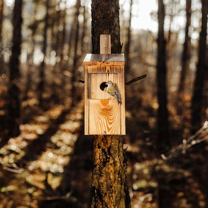 Nichoir À Oiseaux Creative Home Pin Flammé Extérieur Anti-Prédateurs