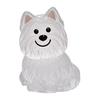 Pet Hair Memorial Keychain Pet Hair Preservation Bottle Transparent Synthetic Resin Engraved Pet Memory Jar