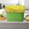 Green Sprout Dish Growing Pot Plastic Beans Seeding Pot New Plants Germination Tray