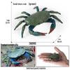 Kids' King Crab Cognitive Simulation Toy Model