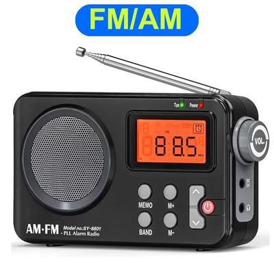 Portable Radio FM&AMLCD Screen Support 5V Input Bass AM Radio Timer Alarm Timer Shutdown Memory Frequency Programme White& Black