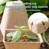 10 Pcs Peat Pots for Seedling Outdoor Garden Germination Nursery Pots Pulp Biodegradable Seed Starter Pots Kits