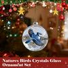 2025 8CM Christmas Transparent Acrylic Ball Cardinal/Hummingbird Pattern Creative Christmas Tree Decoration Hanging Pendant