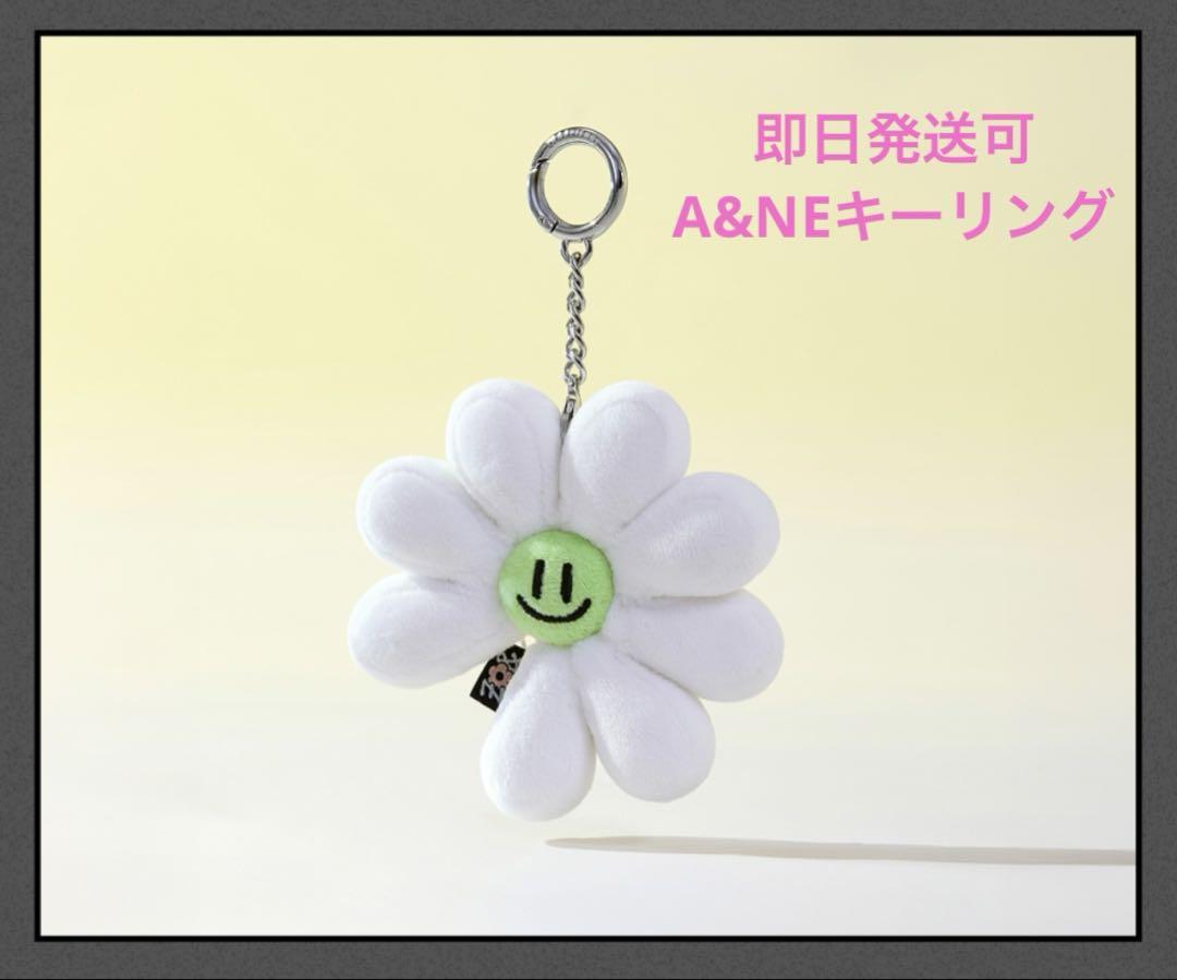 

[USED] ZO&FRIENDS 1st POP-UP A&NE Plush Key Ring