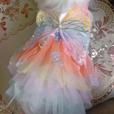 Giyim ve ayakkabı – Köpek elbiseleri
