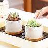 White Porcelain Succulent Flower Pot Home Gardening Copywriting Ceramic Small Pot Cross-border Simple Succulent Planting Pot