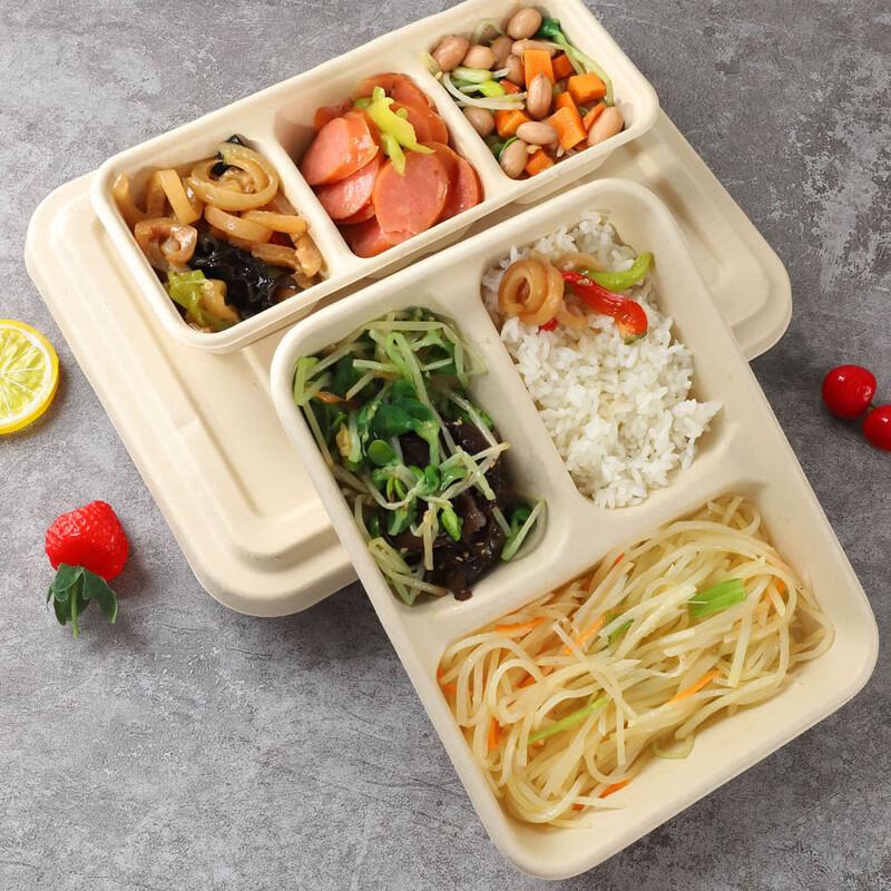 Eco-Friendly Disposable Multi-Compartment Food Containers