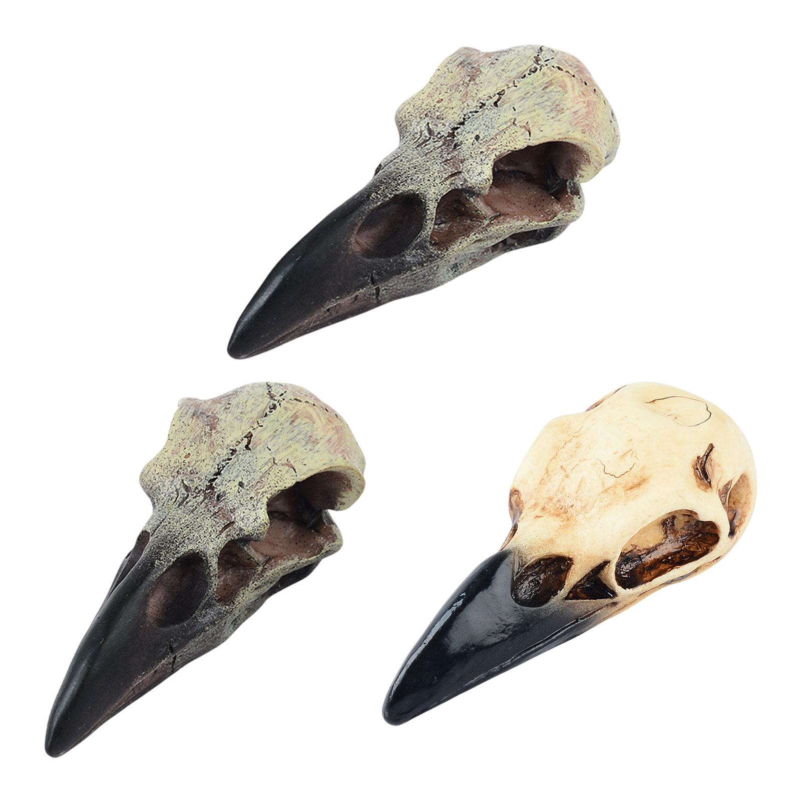 

Halloween Raven Skull Decor Halloween Decor for Party Window Sill Home 40mmx18mmx17mm