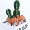 2/6/10pcs Desert Ornament Model Camel Fairy Garden Home Decoration Miniature Figurines