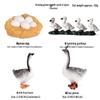 Frog Life Cycle Model Set: Tadpole to Frog Educational Toys for Kids
