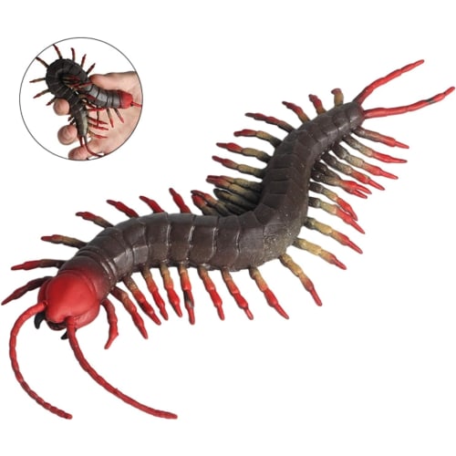 MAIBED Centipede Figure, Centipede Model, Chilopoda, Toy, Stress Reliever, Arthropod, Plastic Model, Realistic, TPR Material, Decorative Ornament, OpJ