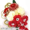 Hair Accessory Set for Furisode and Ceremonies Featuring Red Flowers Two-piece (long-sleeved Kimono) Coming-of-age (wk-077) Tsumami-zaiku (red)