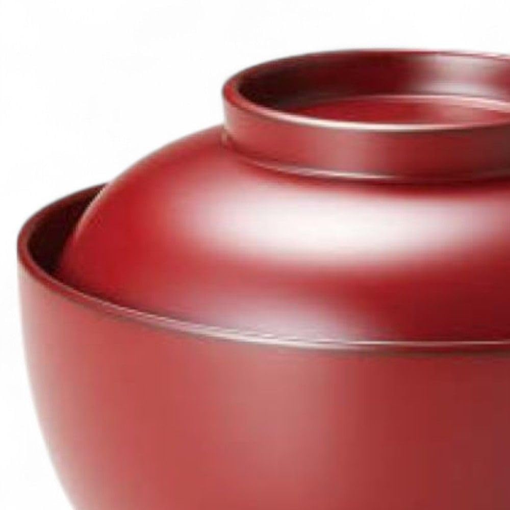 Lacquerware Dishwasher Made in Japan J-kitchens Bowl, Hand-Painted, Safe, PID-527155,