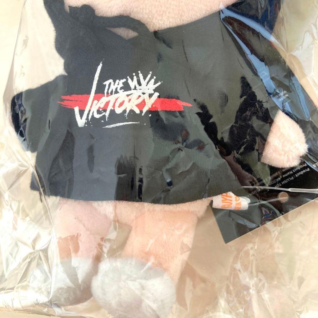 [USED] Straykids Foxxy Stuffed Toy Skzoo Ian