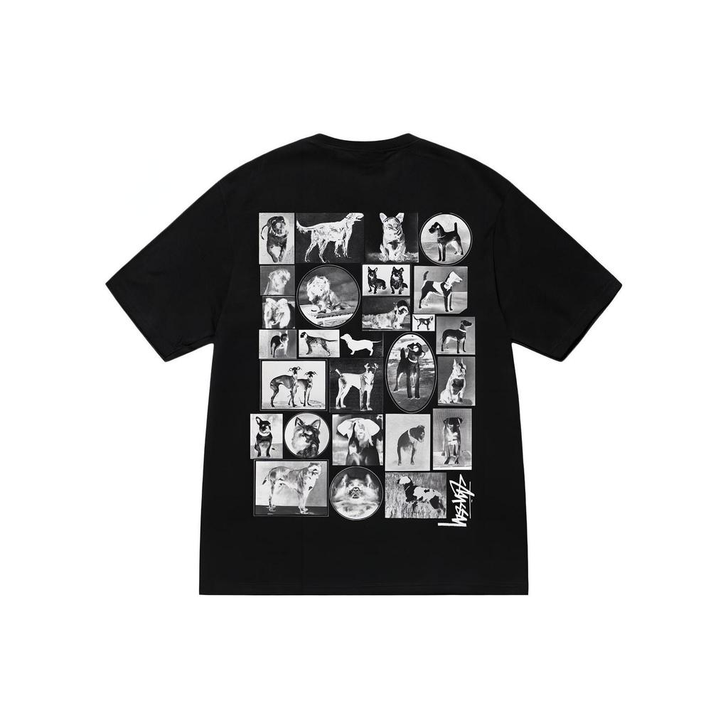 Stussy Kittens Tee 1905017