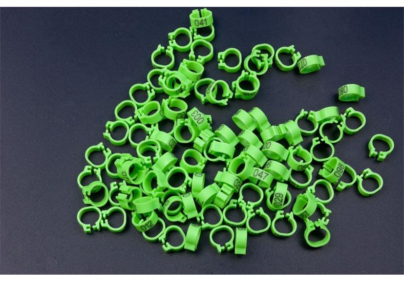 

8mm Snap-on Carrier Pigeon Leg Band - Openable ID Ring, 10 Colors Available, Bird Marking Gear зелений