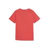 Puma Breathable Round Neck Short Sleeve T-Shirt Kids tops 679206-25