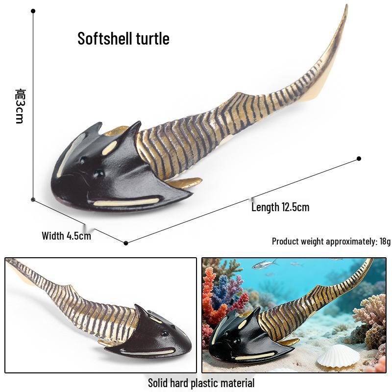 Ancient Marine Life Model: Trilobite, Eurypterid, Pikaia, Sea Scorpion, Nautilus Toy