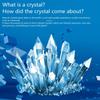 Colored Crystals Crystal Growing Science Kit Grow a Crystal Crystal Making Kit  Teens