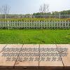 Efficiently Install Your Fencing with This Pack of 50 Stainless Steel Fasteners Compatible with Various Materials