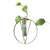 Nordic Ins Glass Test Tube, Hydroponic Vase, Wall Decoration, Home Decoration, Modern, Simple