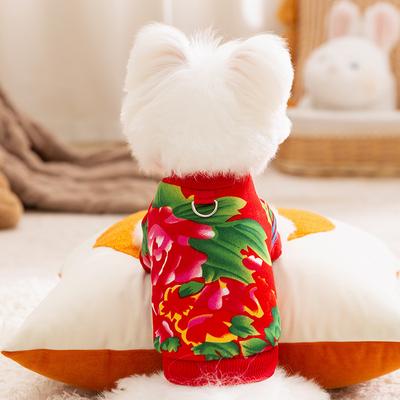 Honden – Kleding en schoenen