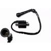 Ignition Coil Fits Yamaha Bruin 350 2WD 4WD 2004-2006