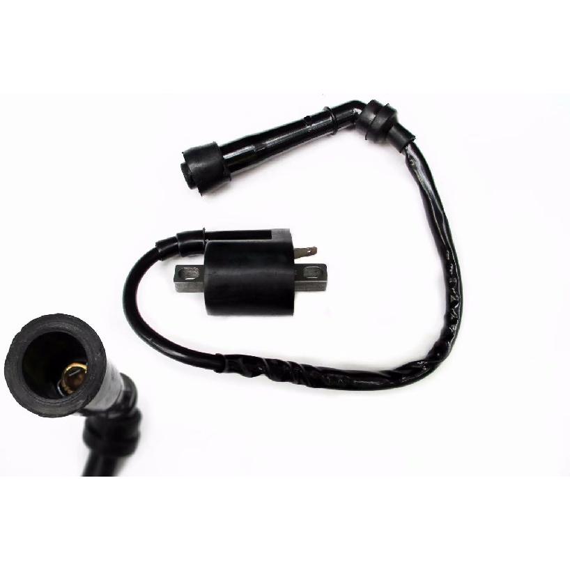 Ignition Coil Fits Yamaha Bruin 350 2WD 4WD 2004-2006