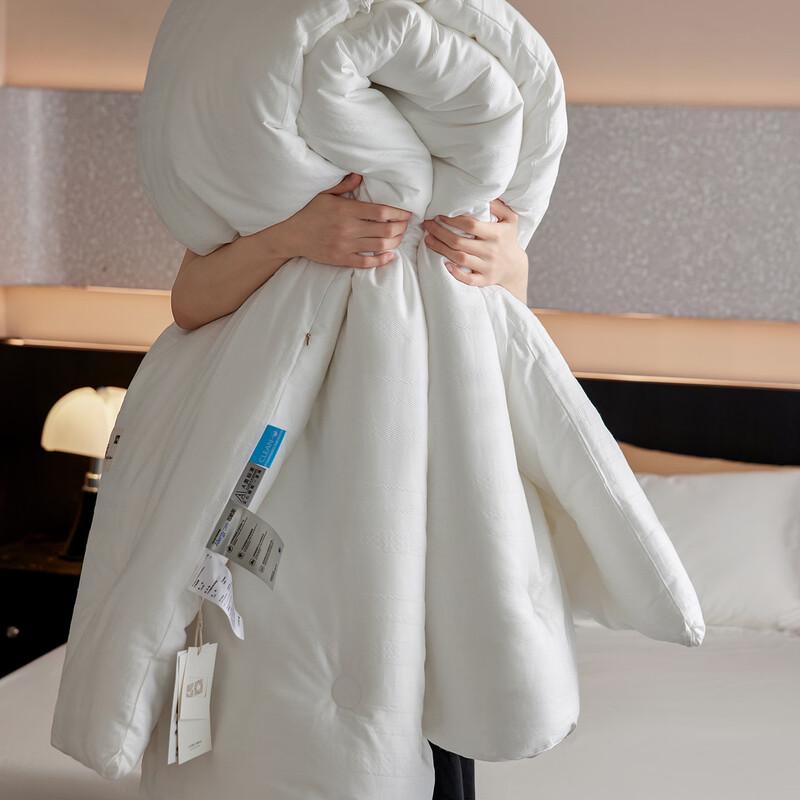 

mling Thick Woven Jacquard Winter Comforter