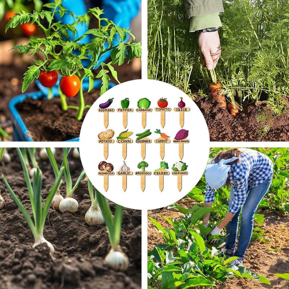 15 pz/1 set Etichette da Giardino in Legno Etichette con Nome per Verdure con Motivo Piante in Vaso da Interno/Esterno Marcatori Divertenti per Identificazione Piante