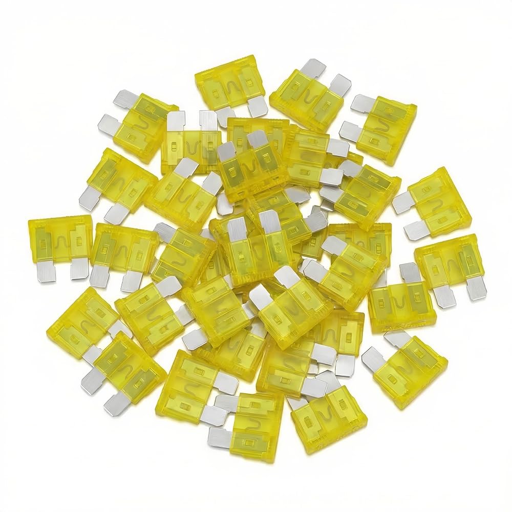 (80Pcs) 10 Amp Standard Fuse, 10A Car Blade Fuses for Car/RV/Truck/SUV/Motorcycle/Boat
