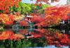 300-piece Jigsaw Puzzle: Daigoji Temple In Autumn Colors (26 X 38 Cm)