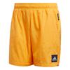 Casual Shorts Men's Gold FL3620