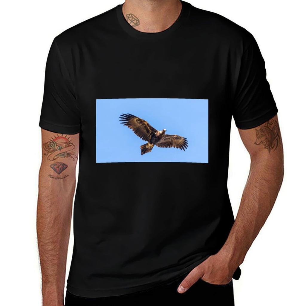 Wedgetailed Eagle Tshirt T Shirts For Unisex Slim Fit Unisex T Shirt Cotton 100 Tshirt