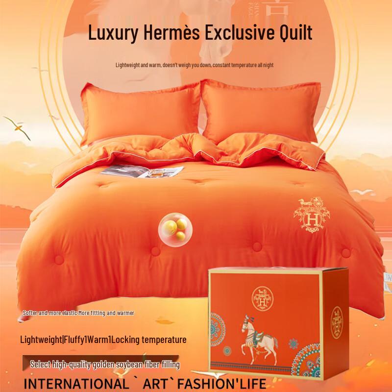 

ZMNXG Luxury Hermes Orange Brushed Duvet